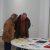 Exposição 