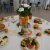 II Edição da Festa da Laranja